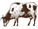 home_cattle_icon